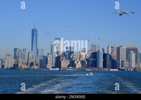 La vista di New York City con gli uccelli marini dal traghetto di Staten Island nell'alta Baia di New York.New York City.USA Foto Stock