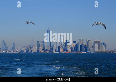 La vista di New York City con gli uccelli marini dal traghetto di Staten Island nell'alta Baia di New York.New York City.USA Foto Stock