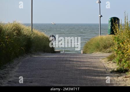 Percorso verso il mare nord da vicino Foto Stock