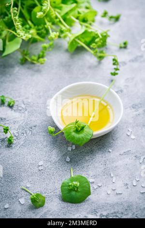 Purslane d'inverno, lattuga indiana, con olio d'oliva e sale. Claytonia perfoliata Foto Stock