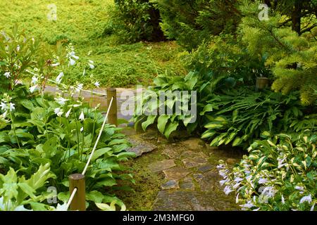 Arbusti, erbe aromatiche, fiori e percorso del parco pubblico. Verde parco cittadino. Foto Stock