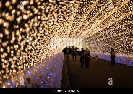 Illuminazione Nabana no Sato 2022 Foto Stock