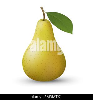 Pera isolata realistica Illustrazione Vettoriale