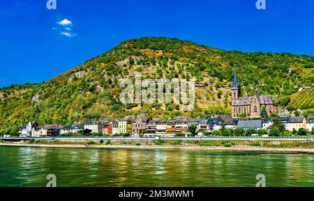 Paesaggio della città di Lorchhausen nella gola del Reno. Patrimonio mondiale dell'UNESCO in Germania Foto Stock