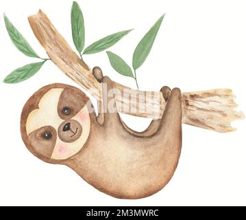 Acquerello Baby sloth sull'illustrazione dell'albero. Piccola clipart animale. Animali tropicali set.Baby doccia grafica. Carta di compleanno. Arrangemen disegnato a mano Foto Stock