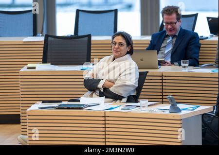 Plenarsitzung im Landeshaus Kiel die Abgeordnete Sepil Midyatli auf der Oppositionsbank Foto Stock