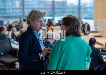 Plenarsitzung im Landeshaus Kiel Abgeordnete im Gespräch am Rande der Sitzung Foto Stock