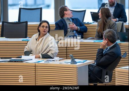 Plenarsitzung im Landeshaus Kiel die Abgeordnete Sepil Midyatli auf der Oppositionsbank Foto Stock