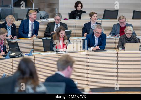 Plenarsitzung im Landeshaus Kiel Abgeordnete diskutieren die Probleme der heutigen Zeit Foto Stock