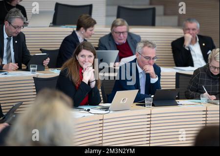 Plenarsitzung im Landeshaus Kiel Abgeordnete diskutieren die Probleme der heutigen Zeit Foto Stock