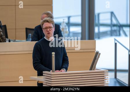 Plenarsitzung im Landeshaus Kiel Der Abgeordnete Lars Petersdotter bei seiner Rede Foto Stock