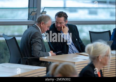 Plenarsitzung im Landeshaus Kiel Abgeordnete diskutieren die Probleme der heutigen Zeit Foto Stock