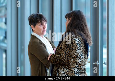 Plenarsitzung im Landeshaus Kiel Abgeordnete diskutieren die Probleme der heutigen Zeit Foto Stock