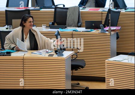 Plenarsitzung im Landeshaus Kiel Abgeordnete diskutieren die Probleme der heutigen Zeit Foto Stock