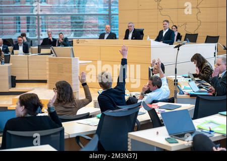 Plenarsitzung im Landeshaus Kiel Abgeordnete stimmen per Handzeichen ab Foto Stock