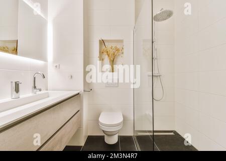 un bagno moderno con pareti bianche e pavimento nero, unitamente ad una cabina doccia montata sulla parete Foto Stock