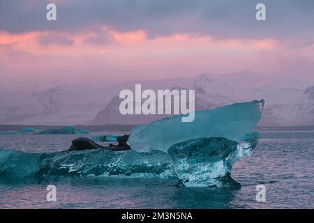 Pezzi di ghiaccio trasparenti in foto di paesaggio oceanico Foto Stock