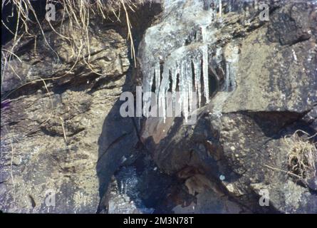 La neve si forma quando piccoli cristalli di ghiaccio nelle nubi si attaccano insieme per diventare fiocchi di neve. Se un numero sufficiente di cristalli si attaccheranno insieme, diventeranno abbastanza pesanti da cadere a terra. I fiocchi di neve che scendono attraverso aria umida leggermente più calda di 0 °C si fondono intorno ai bordi e si attaccano insieme per produrre fiocchi grandi. Foto Stock