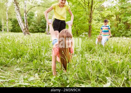 Amici maschili e femminili che si divertono mentre giocano alla gara di carriola nel parco Foto Stock