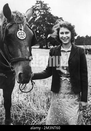 La regina Elisabetta II, quando la principessa Elisabetta, fotografò con uno dei cavalli durante il raccolto a Sandringham, Norfolk, nel 1943. Foto Stock