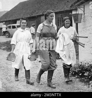 Cameriere apprendiste che lavorano al Plumpton Agricultural College come reclute dell'Esercito Womens's Land, alcune delle quali precedentemente lavoravano nei negozi di Londra. Data: 1939 Foto Stock