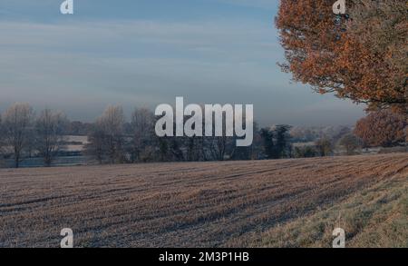 L'autunno incontra l'inverno. Toni caldi e freddi. West Bergholt paesaggio, viste. Campagna Essex nel mese di dicembre. Frost piuma. Foto Stock