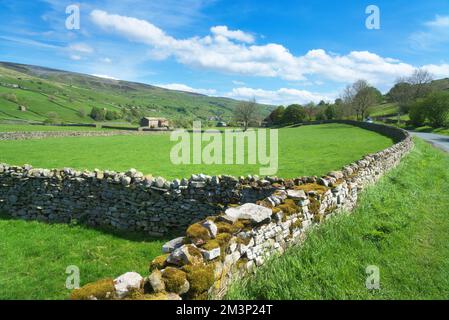 Si affaccia a sud su terreni agricoli accanto al fiume Swale, Swaledale, tra Gunnerside e Muker Barns e pareti di pietra a secco disegni famosi. Accanto al fiume Swale Foto Stock