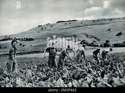 Radunare le ragazze in formazione 1939 Foto Stock