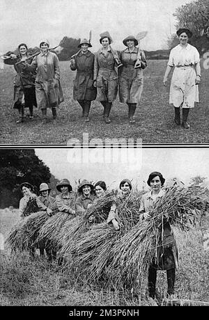 Land Girls che portano il raccolto Foto Stock