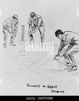 Cricket Match, Inghilterra contro Australia 1902 Foto Stock