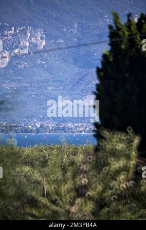 Barche a vela su un lago incorniciato da alberi Foto Stock