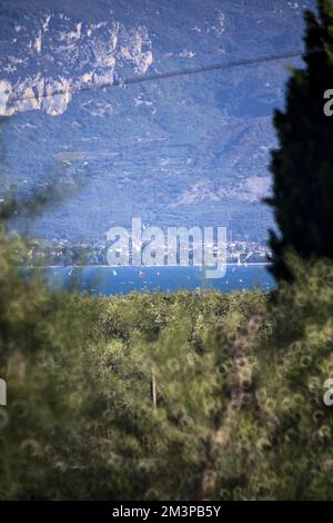 Barche a vela su un lago incorniciato da alberi Foto Stock