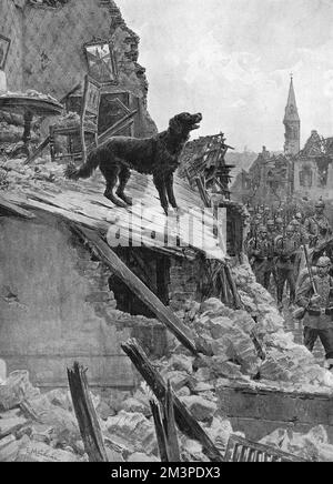 Devozione canina in tempo di guerra, cane della prima guerra mondiale a guardia di casa Foto Stock