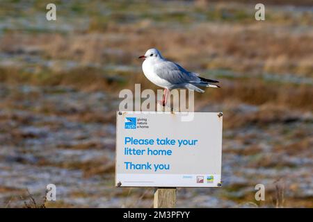 Cartello RSPB "Please Take Your Litter Home" presso la Marshside Nature Reserve a Southport, Regno Unito Foto Stock