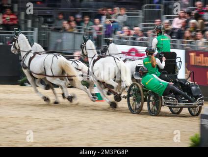 Londra UK 16 dicembre 2022 TeamNederlands Bram Chardon, la guida è uno degli sport equestri più spettacolari e adrenalinici e un'incredibile esposizione di fitness e di resistenza sia per il cavallo che per il driver.Paul Quezada-Neiman/Alamy Live News Foto Stock