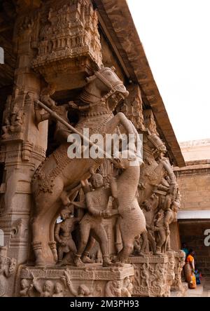 Allevamento di cavalli durante Una lotta di fronte A Un Gopuram bianco nel tempio di Sri Ranganathaswamy, Tamil Nadu, Tiruchirappalli, India Foto Stock