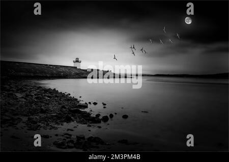 Faro georgiano a Burry Port Carmarthenshire South Wales vicino alla penisola di Gower di notte con una luna e anatre in volo, foto di scorta nera e. Foto Stock