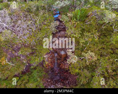 Le cascate di Alexandra fanno parte del parco nazionale delle gole nere del fiume nell'isola di Mauritius Foto Stock