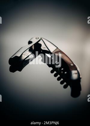 Un primo piano verticale di un cavatappi metallico e la sua riflessione su uno sfondo isolato Foto Stock