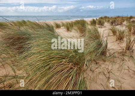 Baia di Arcachon e Capo Ferret in Aquitania. Oceano Atlantico, Francia Foto Stock