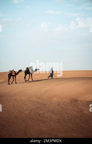Ritratto di berbero a piedi con cammelli in Merzouga Sahara Marocco Foto Stock