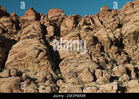 La scogliera del Red Rock Canyon vicino a Las Vegas, Nevada. Al centro a destra dell'immagine sono presenti delle piccole macchie arancioni e nere, Foto Stock