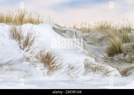 Paesaggio invernale con dune innevate nel tardo pomeriggio presso la spiaggia vicino a Kwade Hoek sull'isola di Goeree-Overflakkee nei Paesi Bassi. Foto Stock