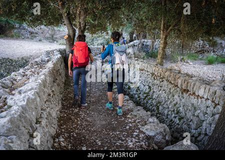 Escursionisti a piedi tra le mura di pietra vicino a un fossato tradizionale, Oriente , Bunyola, Maiorca, Isole Baleari, Spagna Foto Stock