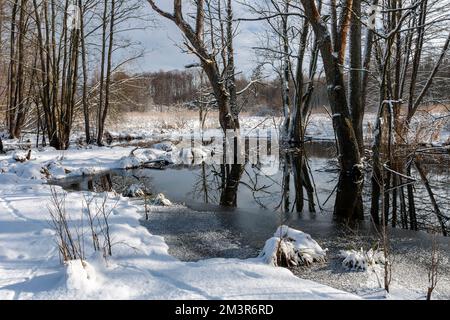 Inverno a Warmia e Masuria, fiume Pasleka, Polonia Foto Stock