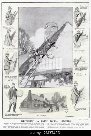 Illustrazione di James Thorpe nella grafica che mostra le tecniche usate da un thatcher. Il thatching, osserva la rivista, è un'industria rurale morente, anche entro gli anni '1920s. Foto Stock