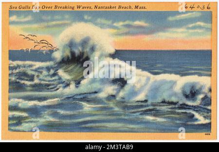 I gabbiani marini si tuffano sulle onde infrangenti, Nantasket Beach, Mass. , Seas, Tichnor Brothers Collection, cartoline degli Stati Uniti Foto Stock