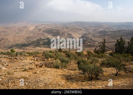 Paesaggio del Monte Nebo con Khirbet al-Mukhayyat Village in Giordania con alberi di ulivo Foto Stock