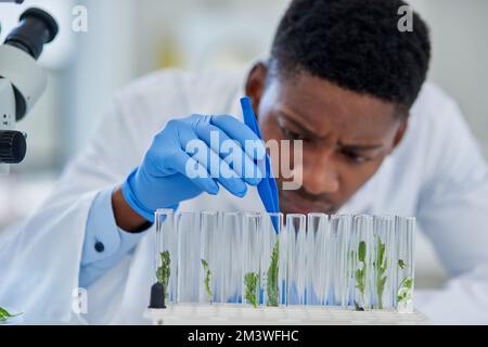 Stanno mostrando grandi segni di vita. un giovane scienziato maschio focalizzato che mette le piante minuscoli in fiale pronte per essere sperimentate all'interno di un laboratorio Foto Stock