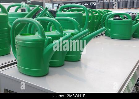 Lattine comuni in vendita in negozio, colore verde Foto Stock